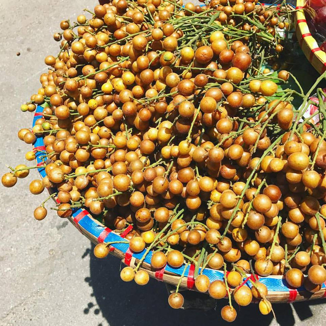 Quất hồng b&igrave; đầu m&ugrave;a ch&iacute;n mọng, tiểu thương b&aacute;n hết cả tạ mỗi ng&agrave;y