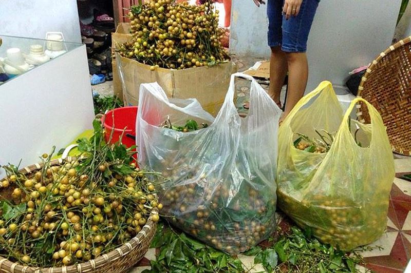 Quất hồng b&igrave; đầu m&ugrave;a ch&iacute;n mọng, tiểu thương b&aacute;n hết cả tạ mỗi ng&agrave;y