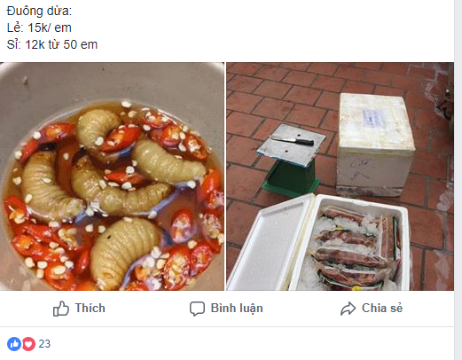 Bỏ mặc lệnh cấm, đu&ocirc;ng dừa vẫn tr&agrave;n ngập chợ online