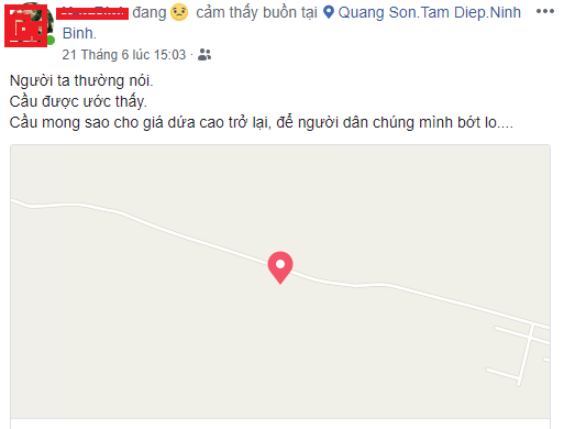Gi&aacute; dứa xuống thấp kỉ lục: N&ocirc;ng d&acirc;n than trời, người H&agrave; Nội đội nắng n&oacute;ng giải cứu