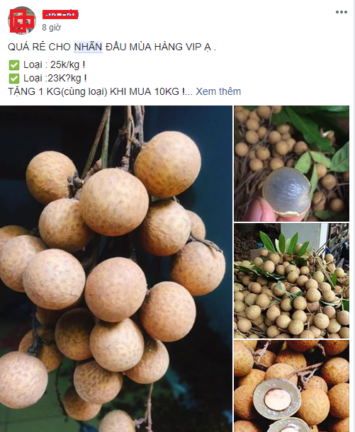 Nh&atilde;n đầu m&ugrave;a c&oacute; gi&aacute; rẻ bất ngờ