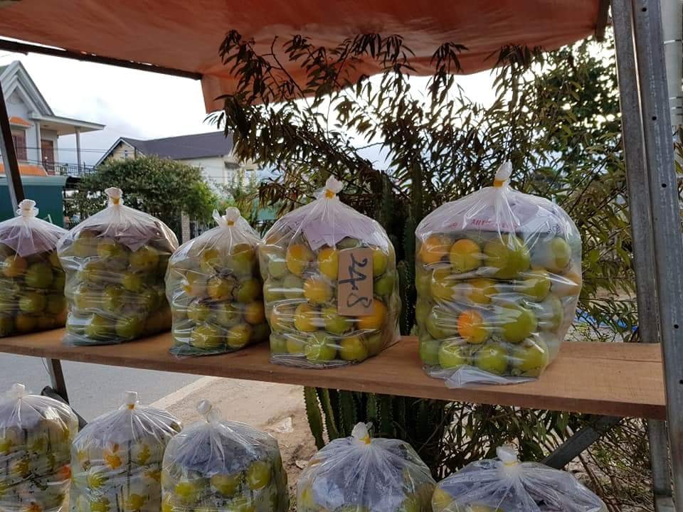 Hồng gi&ograve;n Đ&agrave; Lạt ngập tr&agrave;n thị trường H&agrave; Nội  