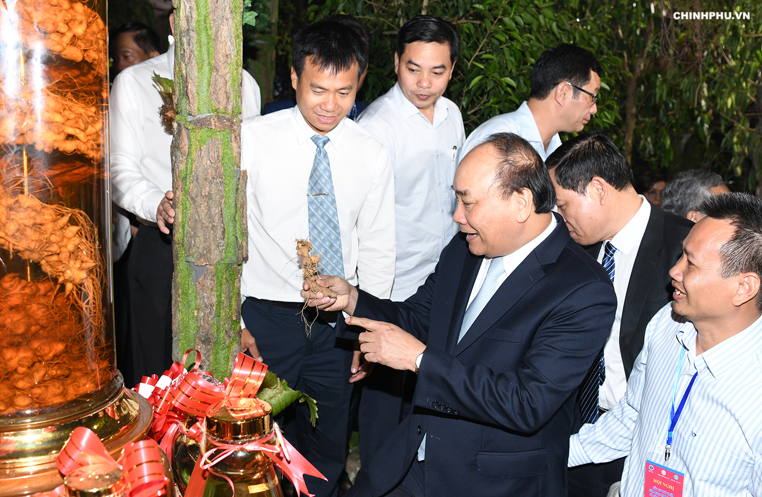 Thủ tướng: Đưa &lsquo;quốc bảo&rsquo; s&acirc;m Ngọc Linh th&agrave;nh quốc kế d&acirc;n sinh
