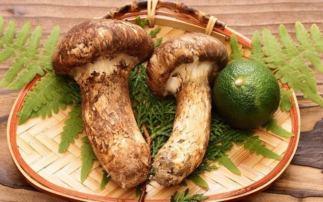 Giới nh&agrave; gi&agrave;u Việt chi v&agrave;i chục triệu đồng mua một kg nấm matsutake Nhật Bản về ăn 