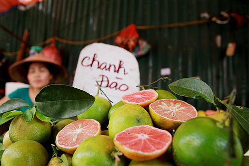 Gi&aacute; chanh giảm mạnh tại nhiều huyện ngoại th&agrave;nh H&agrave; Nội 