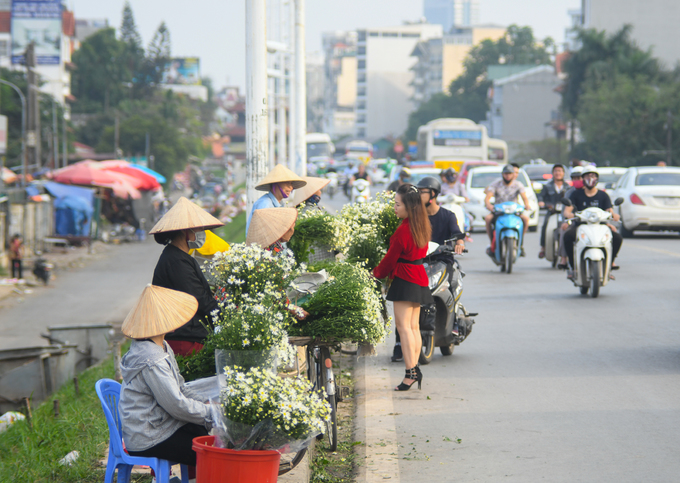 Đến hẹn lại n&ecirc;n, c&uacute;c họa mi g&acirc;y &lsquo;sốt&rsquo; thị trường hoa đầu đ&ocirc;ng
