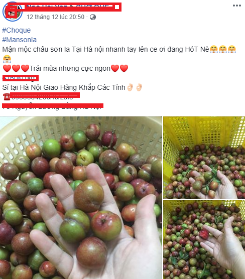 Mận tr&aacute;i m&ugrave;a gần 200.000 đồng một kg vẫn &lsquo;kh&ocirc;ng c&oacute; h&agrave;ng m&agrave; b&aacute;n&rsquo;