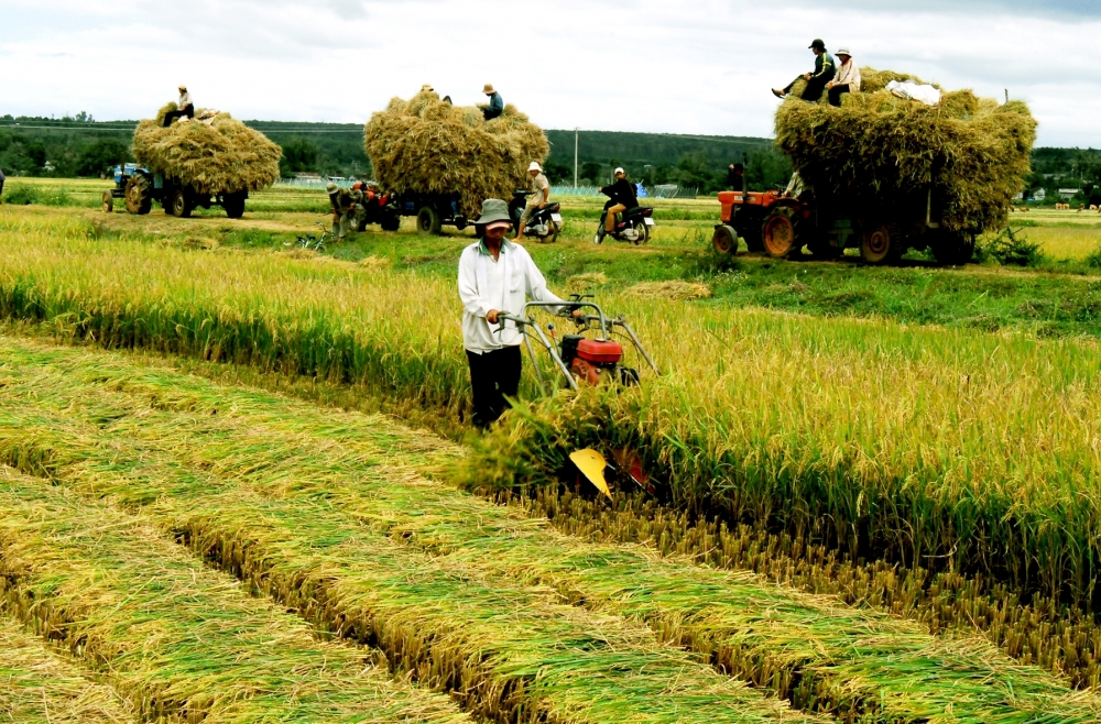 Bộ N&ocirc;ng nghiệp n&ecirc;u 3 th&aacute;ch thức trong thời gian tới