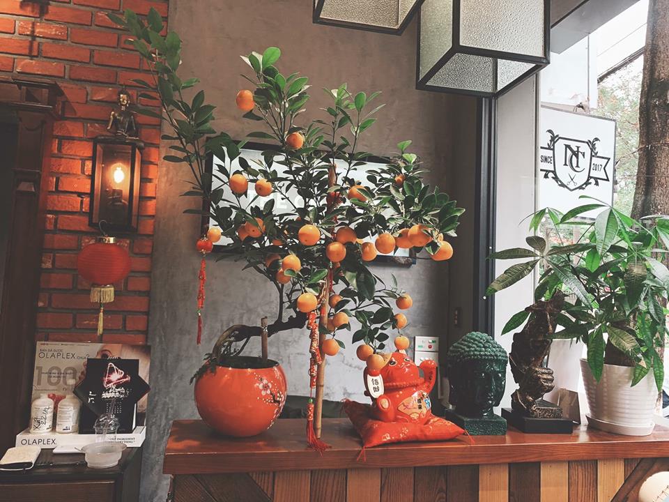 Ngắm những c&acirc;y quất thế độc đ&aacute;o phục vụ Tết Nguy&ecirc;n đ&aacute;n Kỷ Hợi tại l&agrave;ng trồng quất Tứ Li&ecirc;n