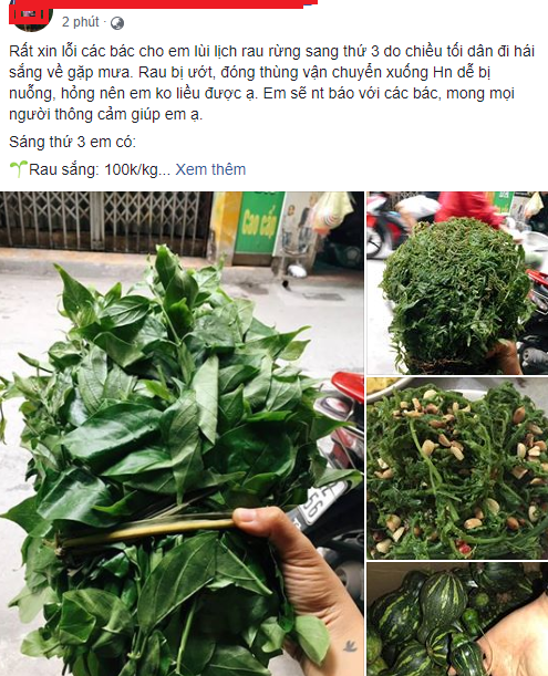 Rau rừng gi&aacute; &lsquo;ch&aacute;t&rsquo; được l&ograve;ng b&agrave; nội trợ thủ đ&ocirc;