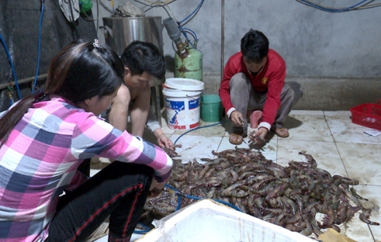 H&agrave; Nội: Ph&aacute;t hiện cơ sở bơm tạp chất v&agrave;o t&ocirc;m