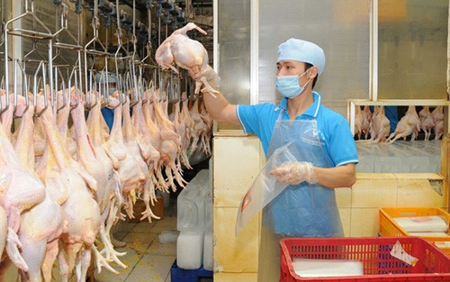 Gi&aacute; thịt g&agrave;, c&aacute;, thủy hải sản tăng mạnh tại TP.HCM