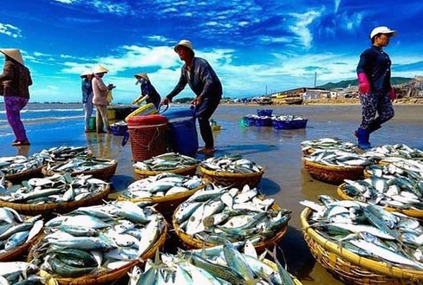 Sử dụng khoản tiền bồi thường của C&ocirc;ng ty Formosa đầu tư c&aacute;c dự &aacute;n tại 4 tỉnh miền Trung