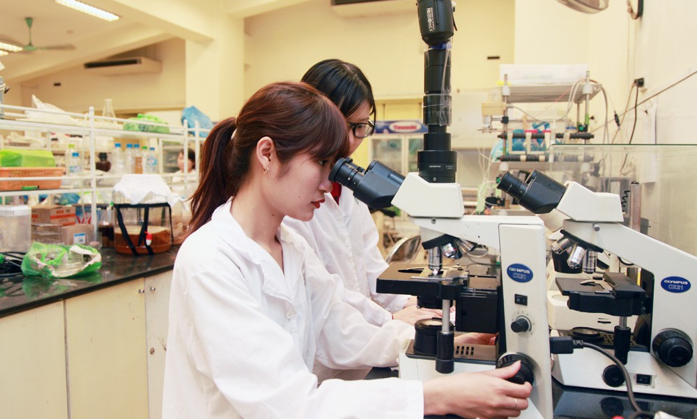 Vi phạm 13WIN là nhà cái uy tín top đầu Châu Á trong hoạt động Khoa học C&ocirc;ng nghệ bị xử phạt l&ecirc;n tới 100.000.000 đồng