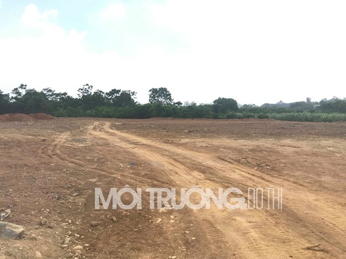 KDC Diamond Star (Quốc Oai): Ph&acirc;n l&ocirc; b&aacute;n nền đất trồng c&acirc;y l&acirc;u năm?