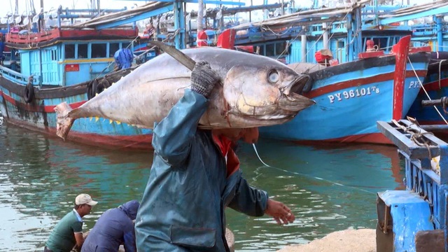 Hy Lạp tăng nhập khẩu c&aacute; ngừ từ Việt Nam