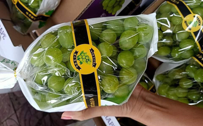 L&yacute; do nho sữa Nhật Bản bỗng nhi&ecirc;n &lsquo;rẻ như cho&rsquo; ở thị trường H&agrave; Nội