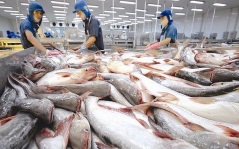 Mỹ giảm thuế c&aacute; tra Việt Nam xuống 0%