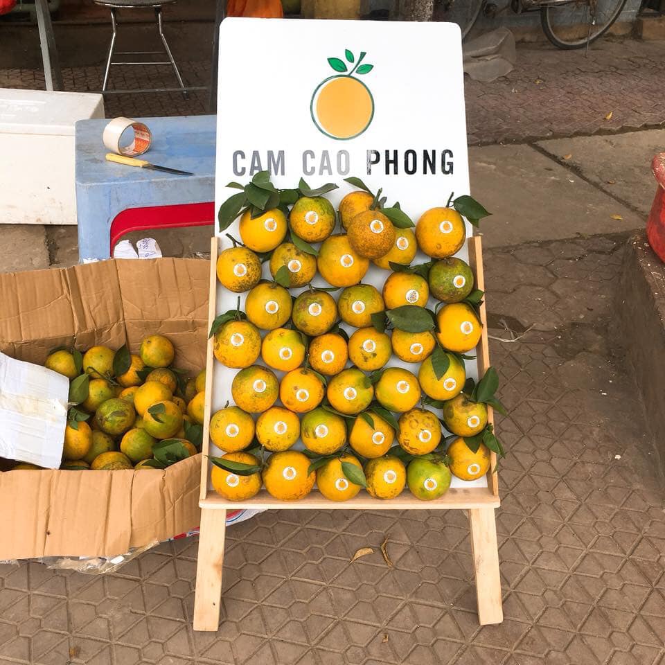 Cam Cao Phong đầu m&ugrave;a gi&aacute; 30.000 đồng một kg