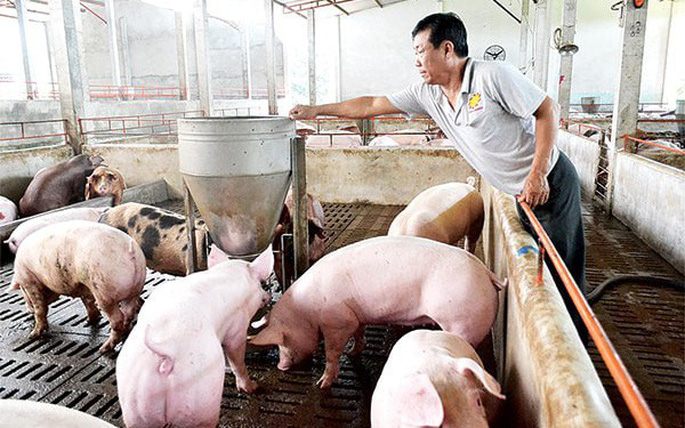 Chỉ số gi&aacute; 13Win18 đa dạng khuyến mãi (CPI) b&igrave;nh qu&acirc;n 9 th&aacute;ng tăng khoảng 2,52%