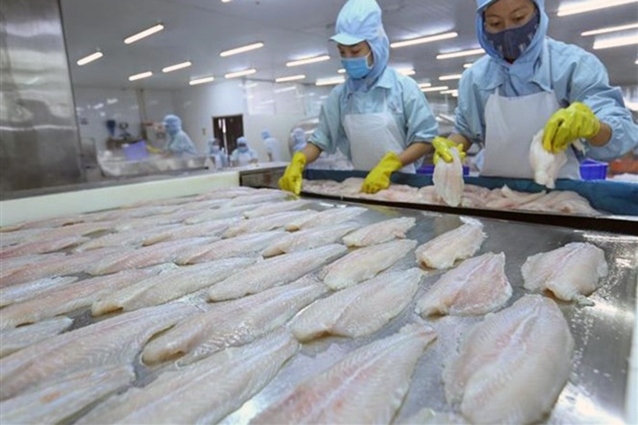 Kiểm so&aacute;t tốt chất lượng, c&aacute; tra Việt tự tin mở rộng thị trường