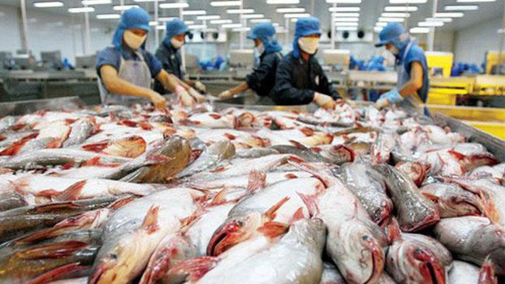 uất khẩu c&aacute; tra sẽ đạt 2,3 tỷ USD