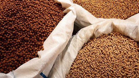 Thức ăn chăn nu&ocirc;i c&oacute; 3 h&igrave;nh thức c&ocirc;ng bố hợp quy