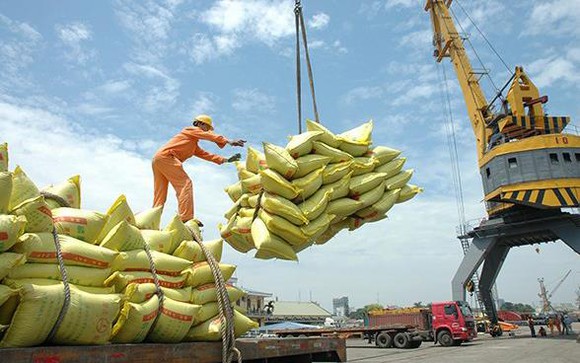 Thanh tra việc chấp h&agrave;nh quy định về xuất khẩu gạo
