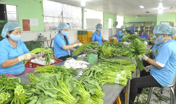 N&ocirc;ng sản xuất si&ecirc;u gần 2,8 tỷ USD