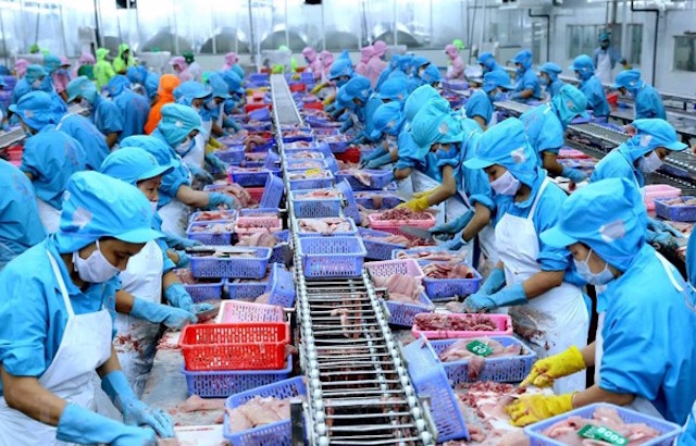 6 th&aacute;ng đầu năm, xuất khẩu thủy sản giảm mạnh