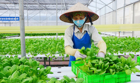 N&ocirc;ng nghiệp xuất si&ecirc;u hơn 6 tỷ USD