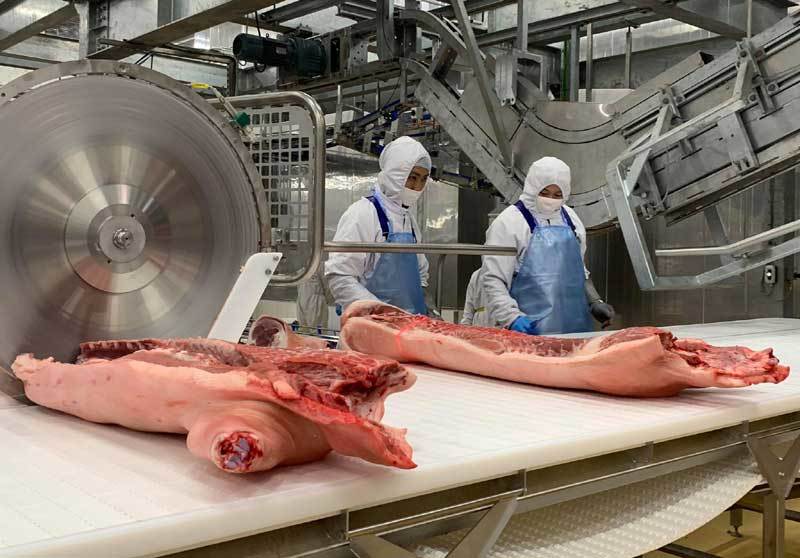 Gi&aacute; thịt lợn giảm mạnh, người chăn nu&ocirc;i lại lo lắng
