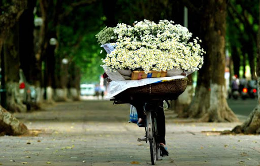 B&aacute;n c&uacute;c họa mi đầu m&ugrave;a, g&aacute;nh h&agrave;ng rong l&atilde;i tiền triệu mỗi ng&agrave;y