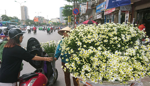 B&aacute;n c&uacute;c họa mi đầu m&ugrave;a, g&aacute;nh h&agrave;ng rong l&atilde;i tiền triệu mỗi ng&agrave;y