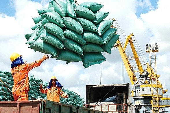Năm 2020 xuất khẩu gạo ước đạt 3,07 tỷ USD
