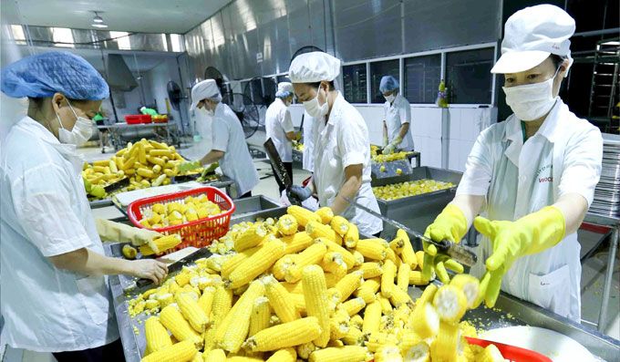 Xuất khẩu n&ocirc;ng l&acirc;m thủy sản 4 th&aacute;ng tăng 24,2%