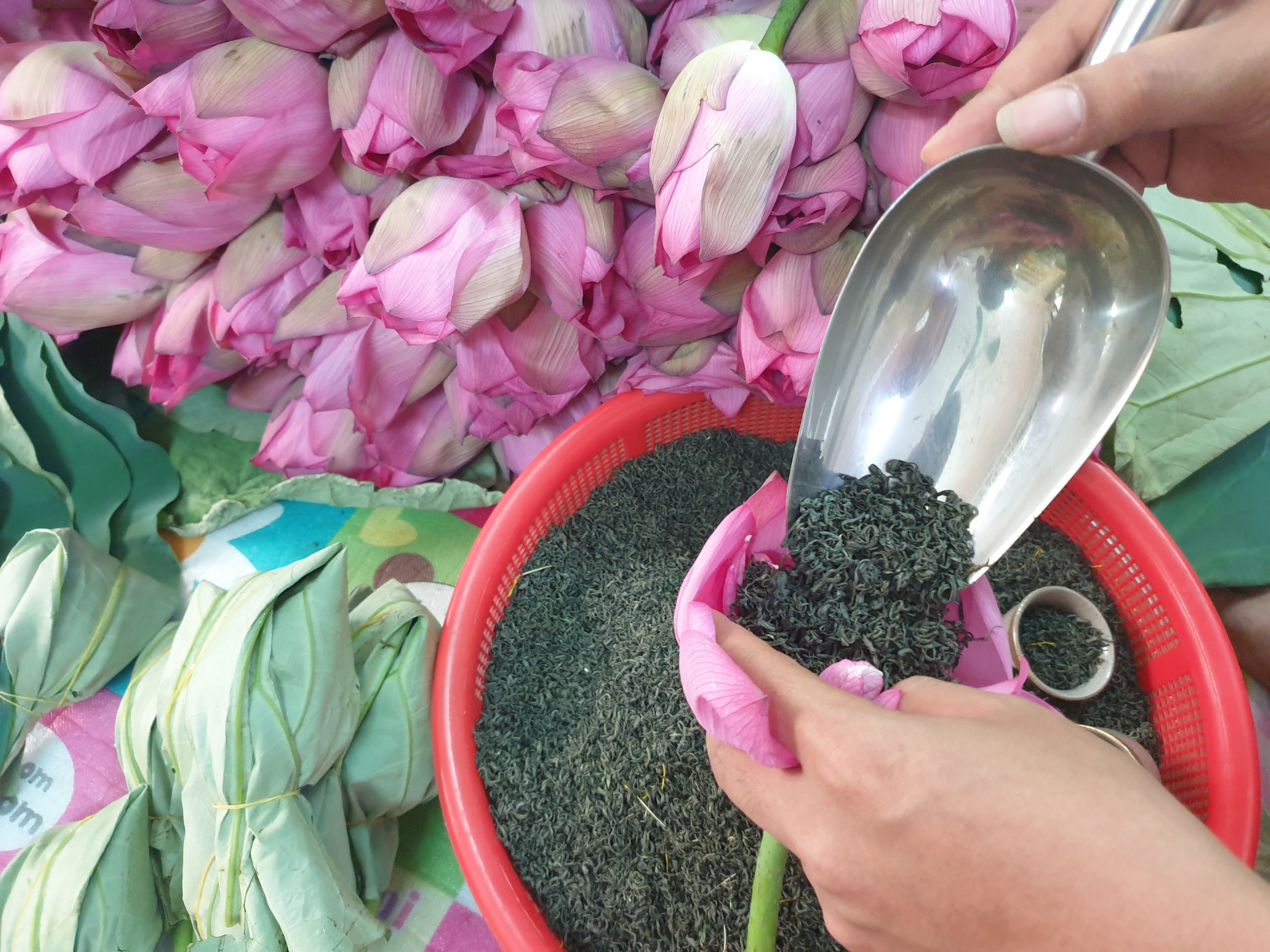 Nhờ c&ocirc;ng nghệ ướp đặc biệt, tr&agrave; sen Việt vươn ra thế giới