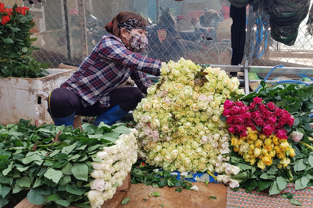 100 triệu c&agrave;nh hoa, 130 tấn bơ ở L&acirc;m Đồng cần được hỗ trợ ti&ecirc;u thụ