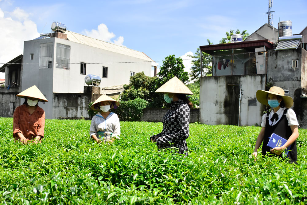 C&aacute;c quốc gia khu vực Ch&acirc;u &Aacute; v&agrave; Th&aacute;i B&igrave;nh Dương cần phải c&oacute; n&ocirc;ng nghiệp trở n&ecirc;n hiện đại hơn