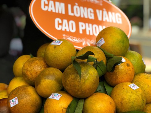 Sửa đổi Giấy chứng nhận đăng k&yacute; chỉ dẫn địa l&yacute; cam Cao Phong