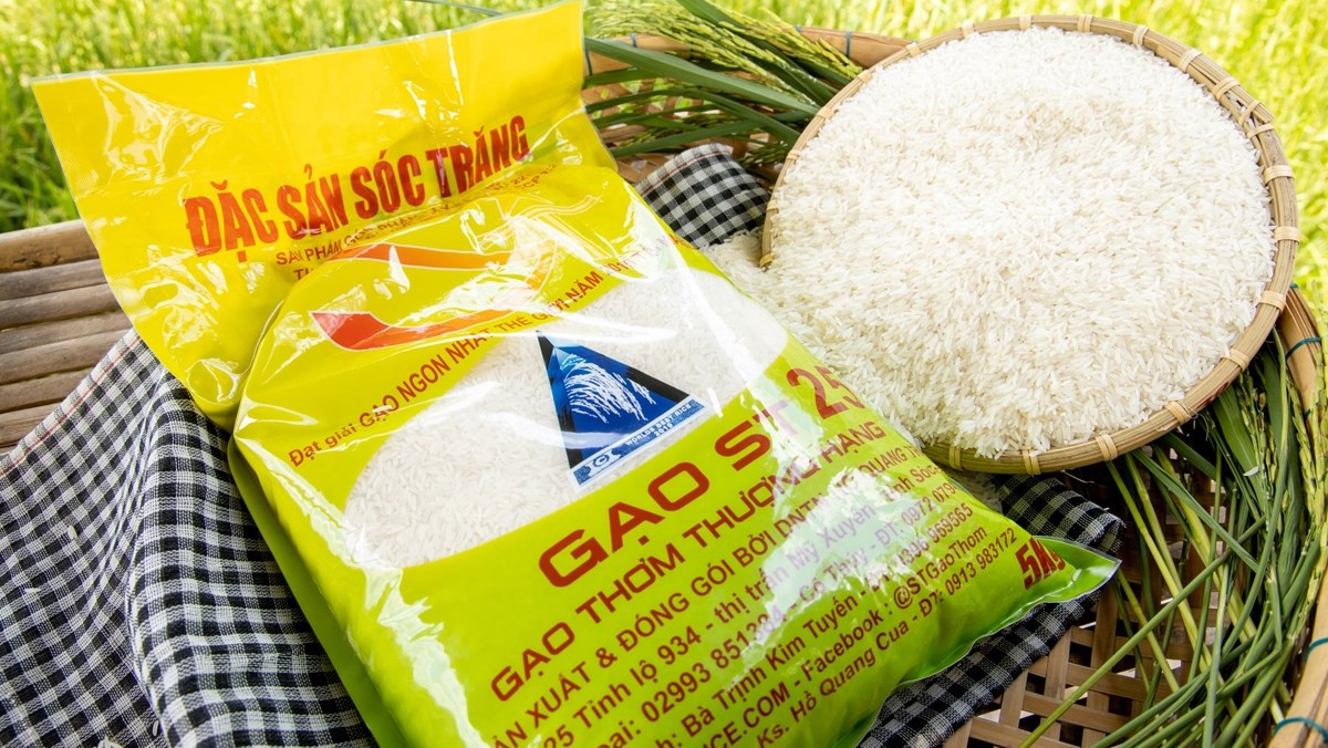 H&ocirc;̃ trợ doanh nghi&ecirc;̣p bảo v&ecirc;̣ thương hi&ecirc;̣u gạo ST24, ST25 trong n&ocirc;̣i địa