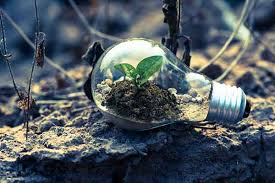 C&ocirc;ng ty Cổ phần Ph&uacute; Khang &aacute;p dụng hệ thống quản l&yacute; ISO 14001:2015