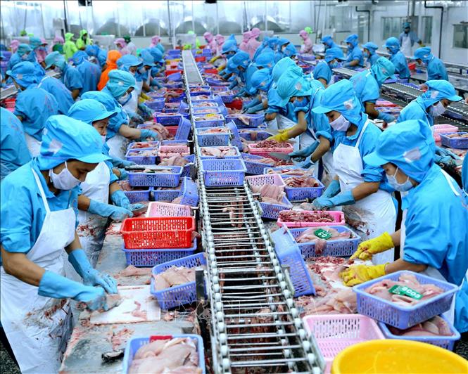 Tổng trị gi&aacute; xuất nhập khẩu h&agrave;ng h&oacute;a giảm