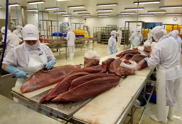Thị phần c&aacute; ngừ Việt Nam tại Chile tăng mạnh nhờ Hiệp định CPTPP