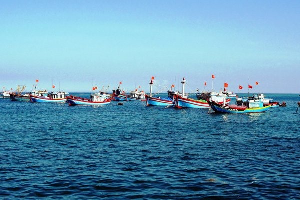 Trước 20/10, kiểm tra tr&aacute;ch nhiệm thực hiện nhiệm vụ chống khai th&aacute;c IUU