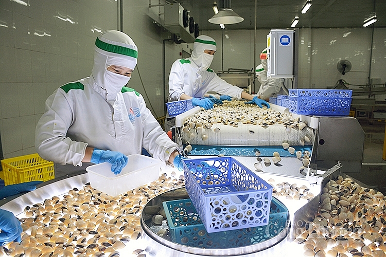 EU đang ở đ&acirc;u trong bức tranh xuất khẩu thuỷ sản Việt Nam?
