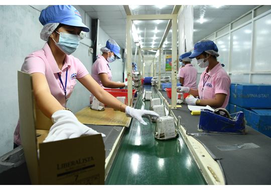 Khoa học c&ocirc;ng nghệ &aacute;p dụng trong sản xuất c&ograve;n hạn chế.