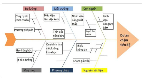 H&igrave;nh 16: Sơ đồ nh&acirc;n quả 46