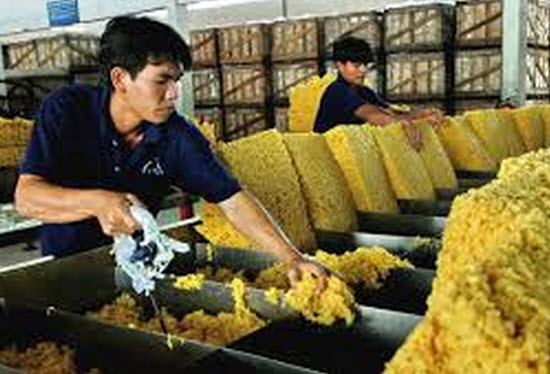 Bất chấp c&aacute;c biện ph&aacute;p đối ph&oacute; được tiến h&agrave;nh, t&igrave;nh h&igrave;nh xuất khẩu cao su những th&aacute;ng cuối năm sẽ kh&oacute; c&oacute; thể s&aacute;ng sủa hơn