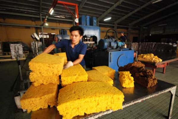 Xuất khẩu cao su 8 th&aacute;ng đầu năm nay giảm tới 40% về gi&aacute; trị so với c&ugrave;ng kỳ năm ngo&aacute;i